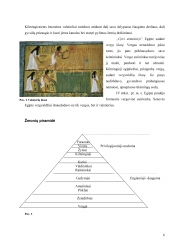 www.speros.lt
